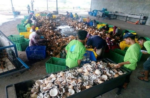 21729647 10203490646943015 1946793336 o 696x522 (1)